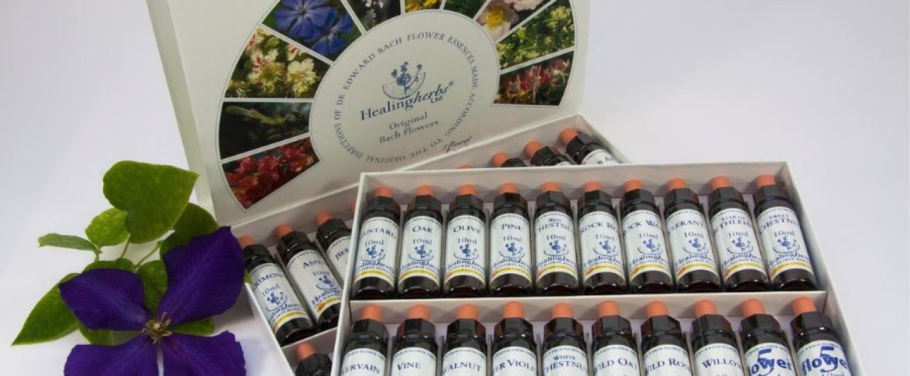 Bach Flower Remedies: Emotional Healing &amp; Balance